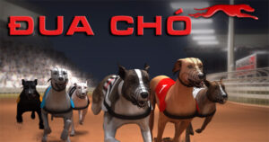 Bí Kíp Chinh Phục Đua Chó Tại SV388: Thắng Lớn Mỗi Ngày